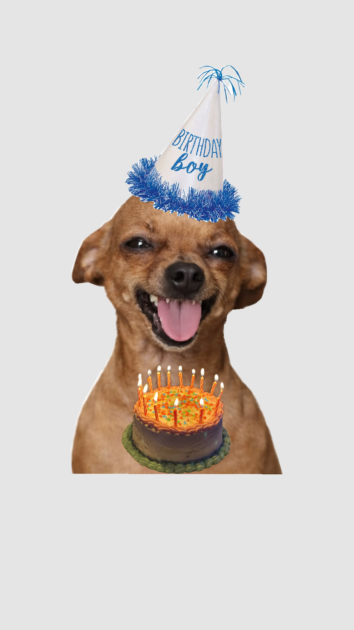 Cumpleaños pepito